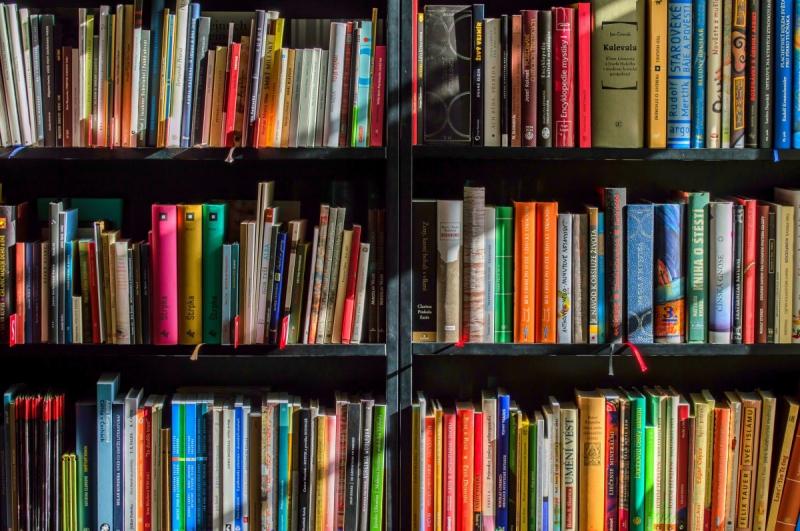 boutique-LA FARLEDE-min_books_bookstore_book_reading_shop_writer_sale_books_read-822866